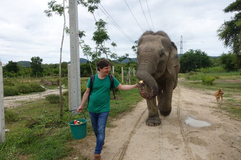 Un giorno al Wildlife Friends Foundation Thailand